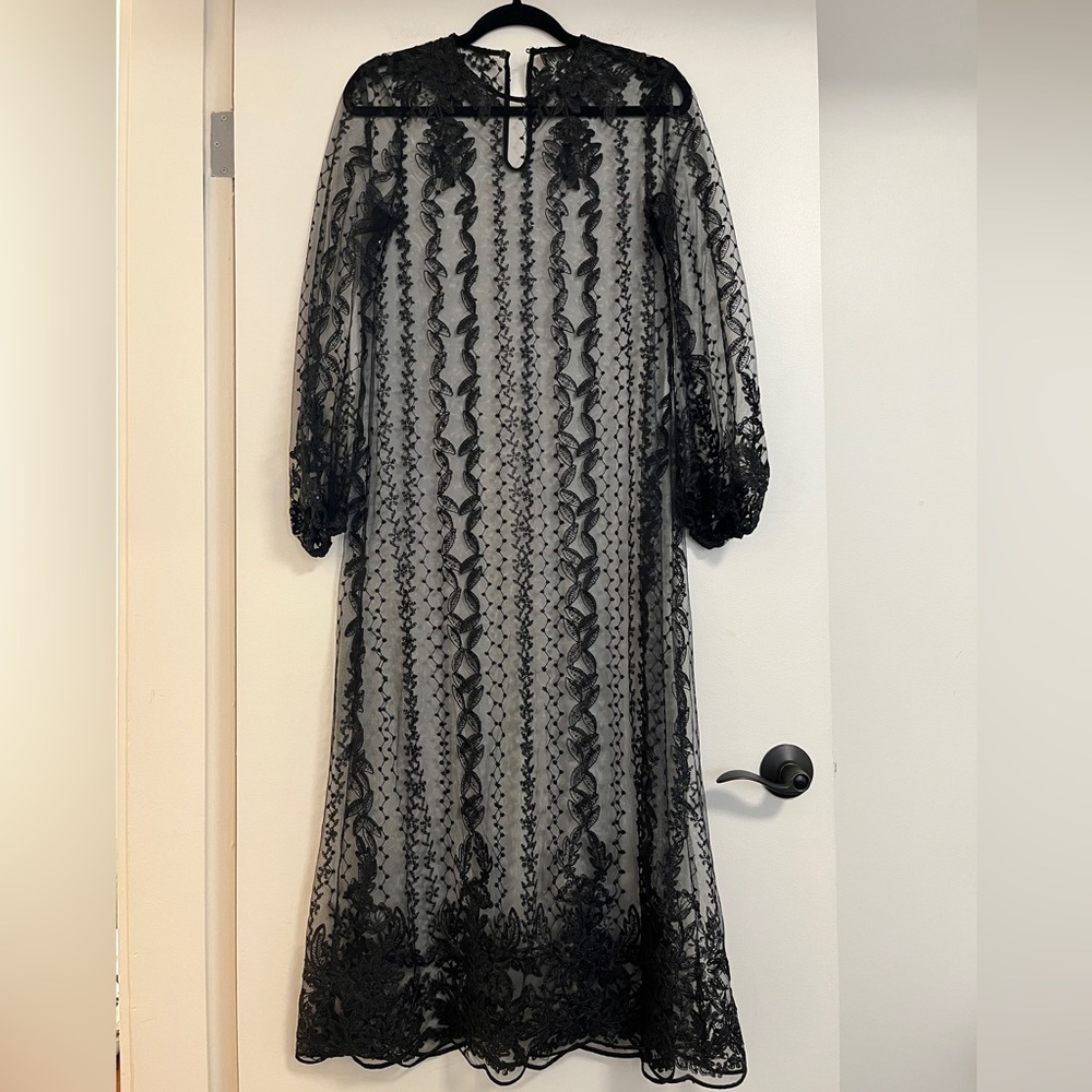 Zara Sheer Lace Dress